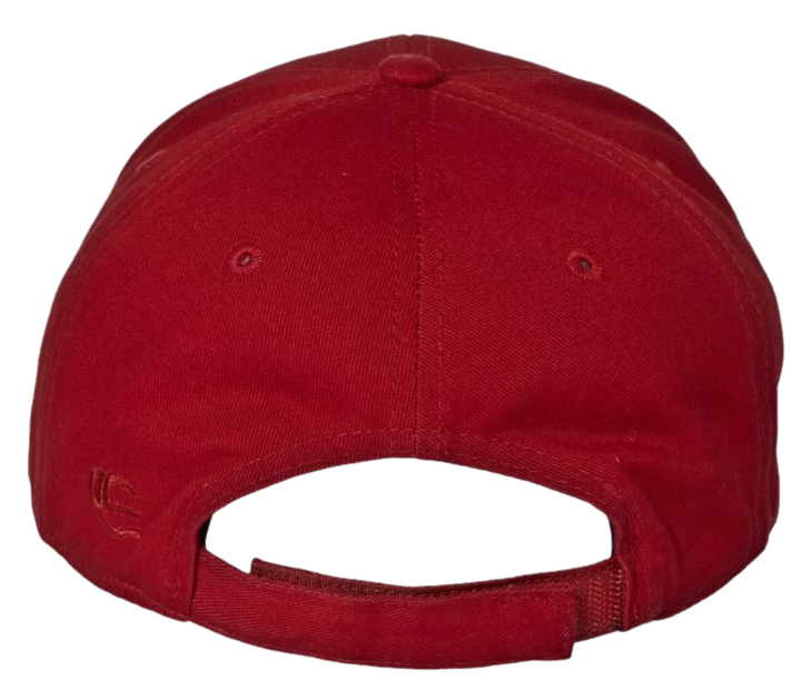 The Patriot Party Hat