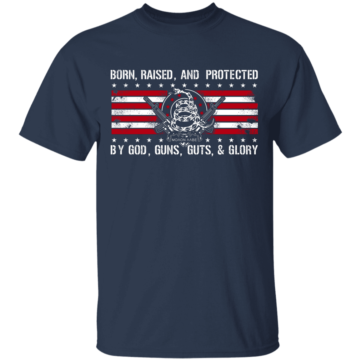 Born Raised and Protected By God, Guns, Guts and Glory 2nd Amendment