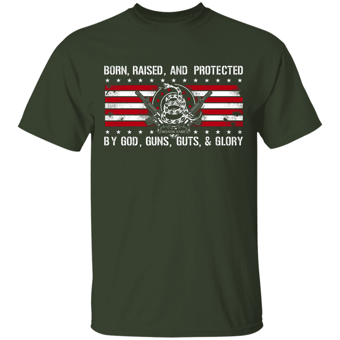 Born Raised and Protected By God, Guns, Guts and Glory 2nd Amendment