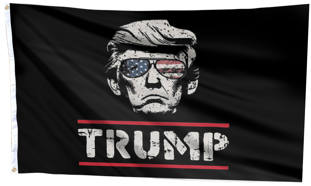 Trump Vintage American Sunglasses Mugshot Flag