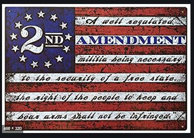 This Well Defend 2nd Amendment Vintage American 4x6' and 5x8' Flag
