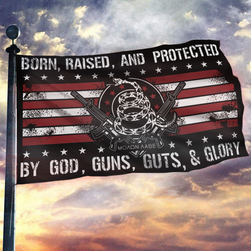 Born Raised and Protected By God, Guns, Guts and Glory 2nd Amendment Sherpa Blanket - 50x60 + Free Matching 3x5' Single Reverse Flag