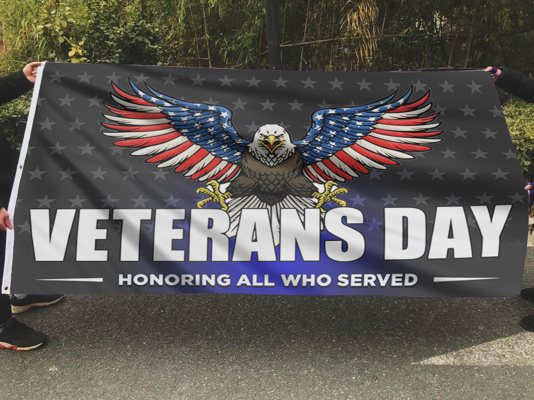 Veterans Day Eagle Flag