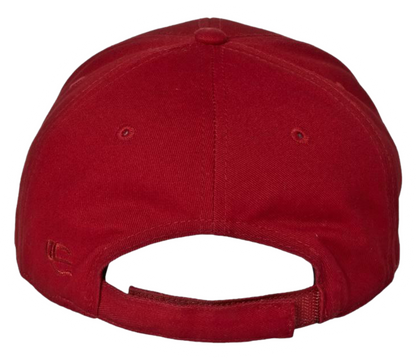 The Patriot Party Hat