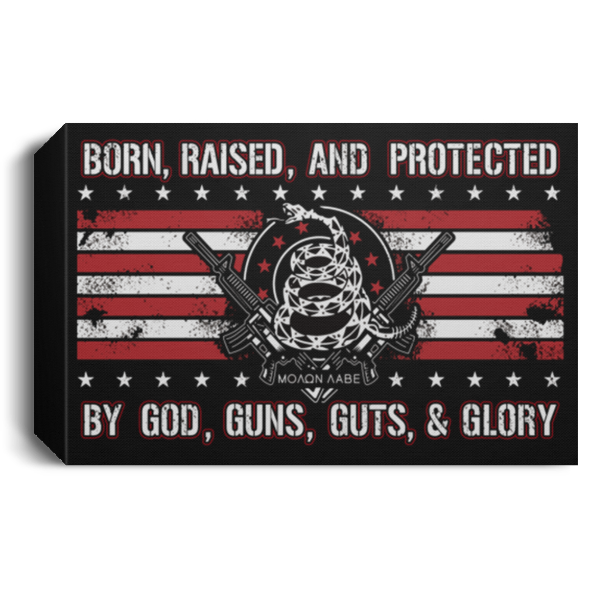 Born Raised and Protected Deluxe Landscape Canvas 1.5in Frame