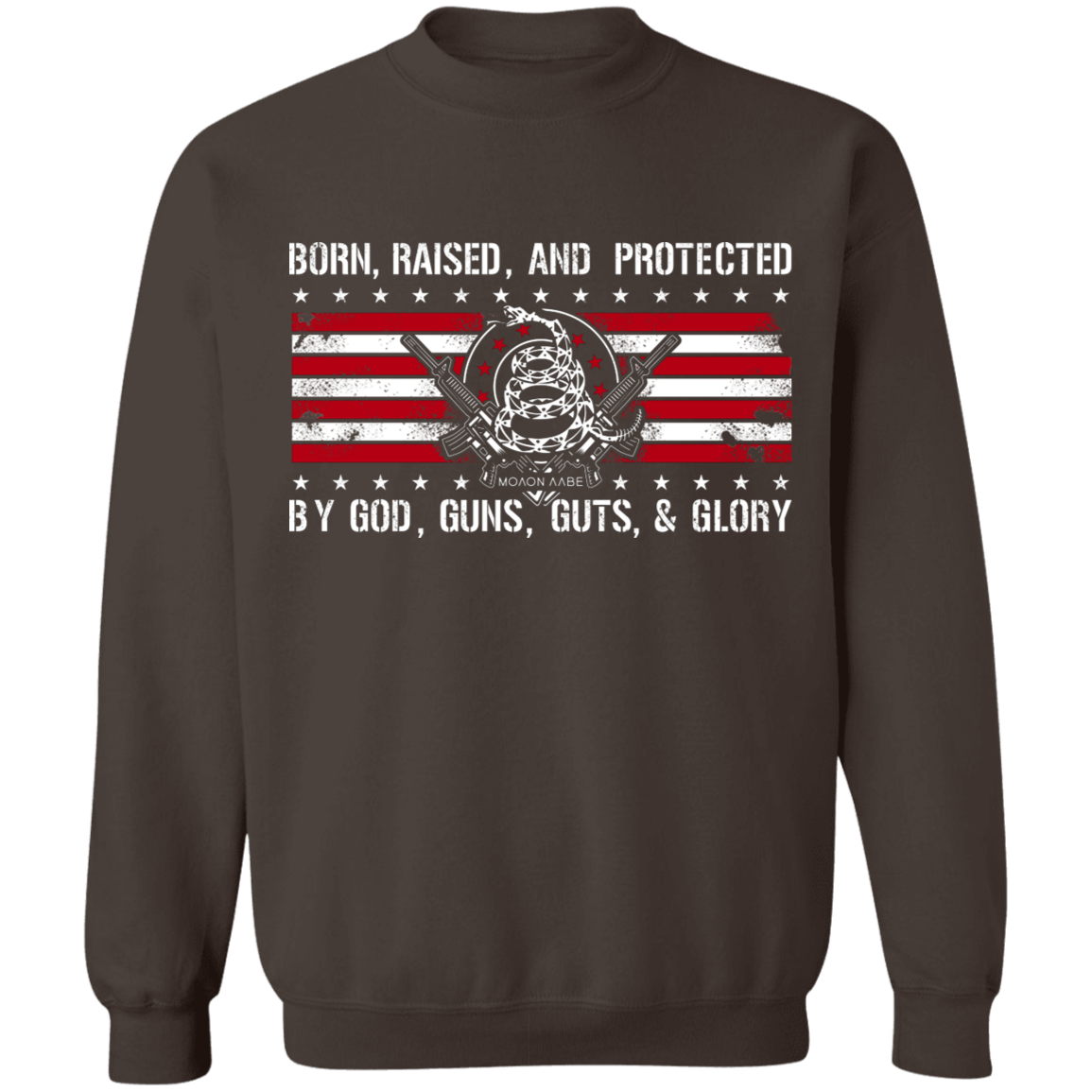 Born Raised and Protected By God, Guns, Guts and Glory 2nd Amendment Pullover Sweatshirt  8 oz.