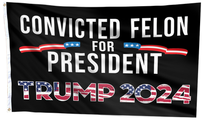 Convicted Felon For President Flag