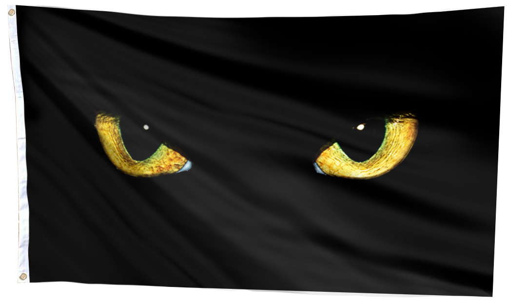 Black Cat's Yellow Eyes Halloween Flag