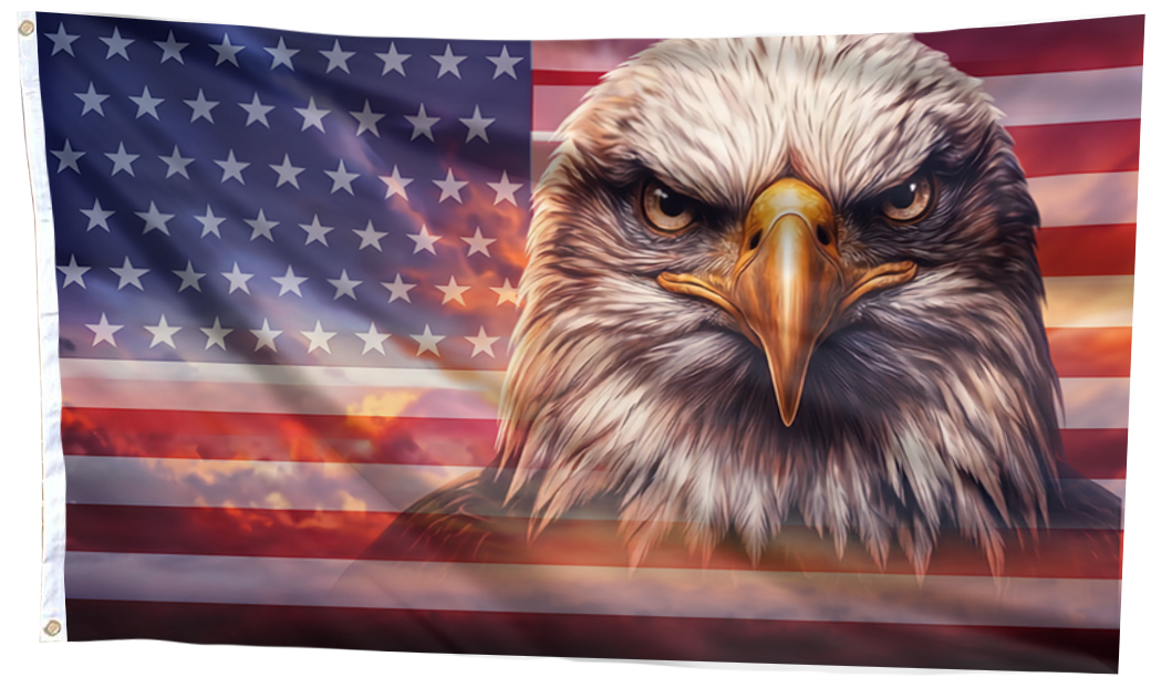 Never Forget Eagle USA Flag