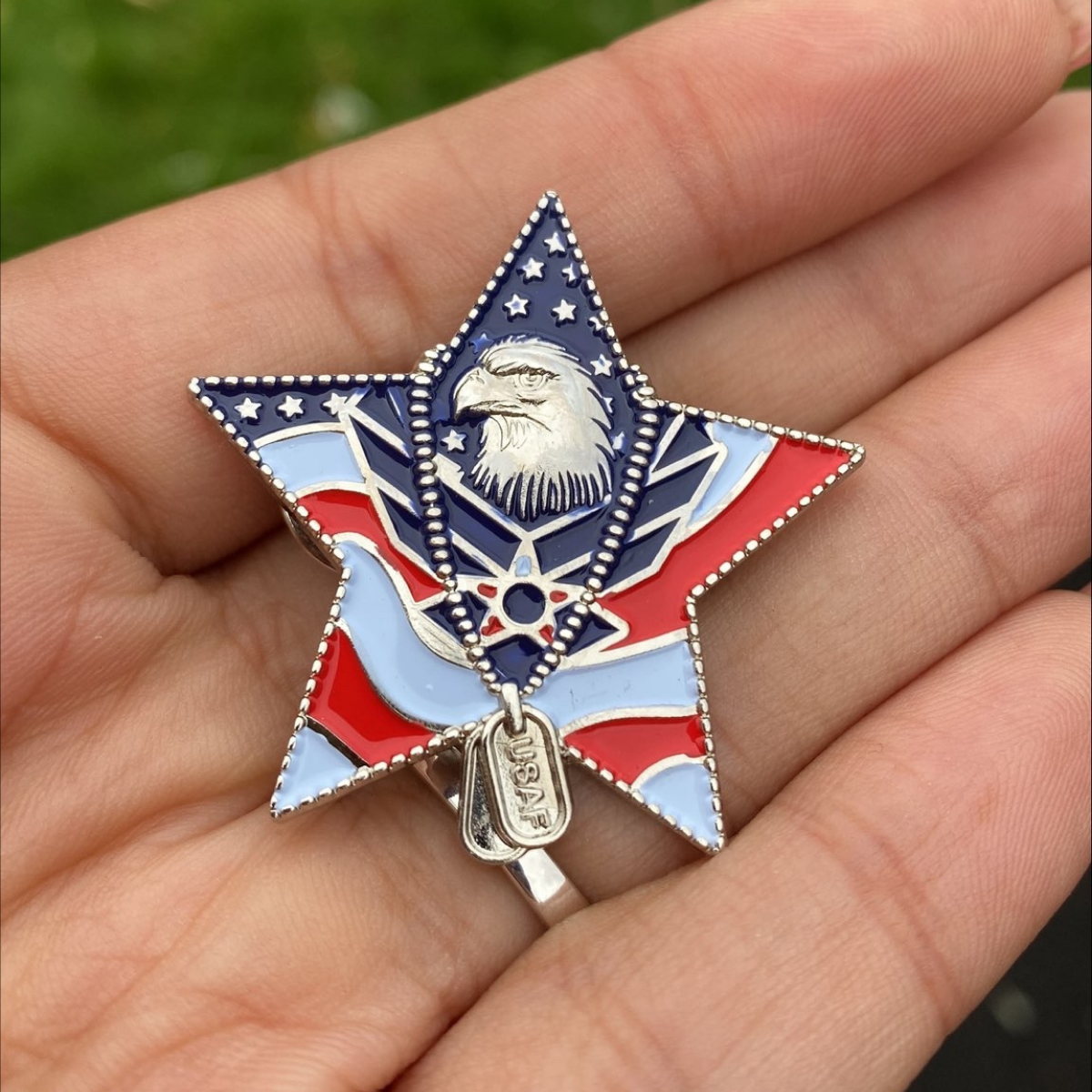 US Air Force Veteran Pin